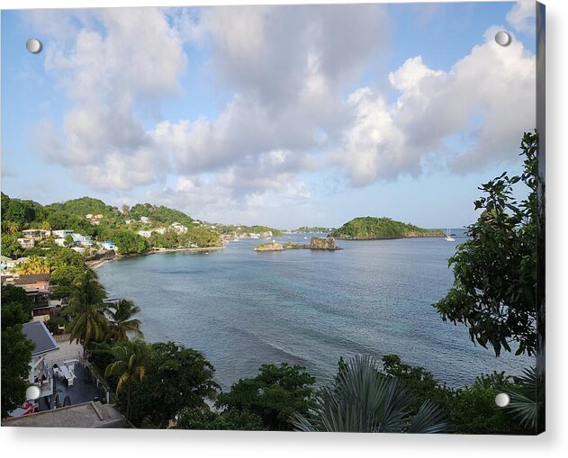 Coastal View with Palm Trees - Acrylic Print