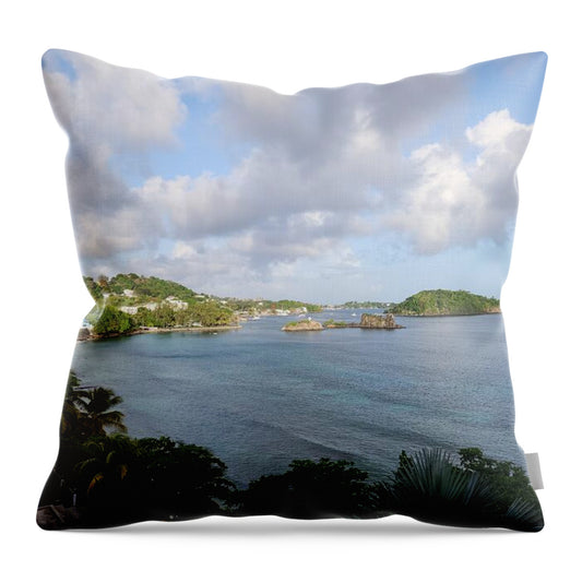 Coastal View with Palm Trees - Throw Pillow