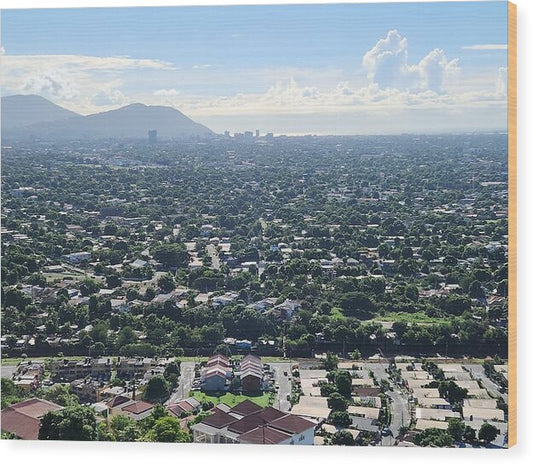 Expansive Cityscape Under Blue Skies - Wood Print