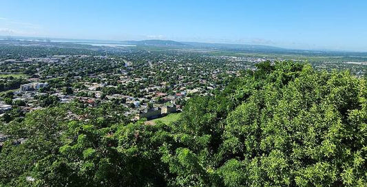 Panoramic View of Vibrant Cityscape - Art Print